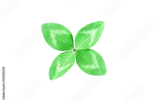 clover luck isolated on a white background. minimal luck concept. four leaves.