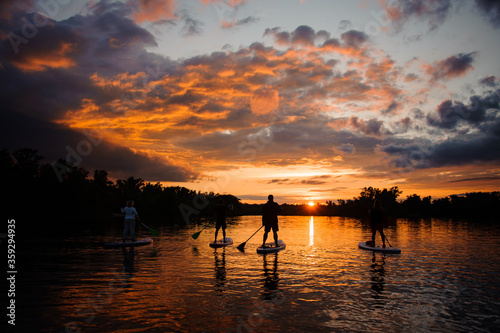 Beautiful rear view on group of people on sup boards which floating on the river at sunset © fesenko