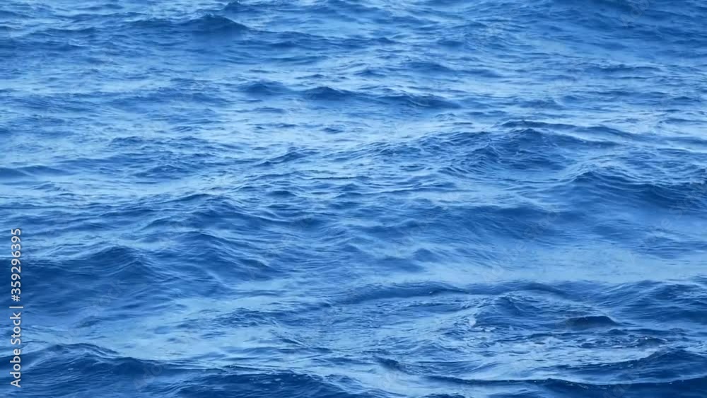 Dolphins jumping out of the blue waters of the Atlantic Ocean, slow motion, watching dolphins from the boat Dolphins jumping out of the blue waters of the Atlantic Ocean, slow motion, watching dolphins from the boat