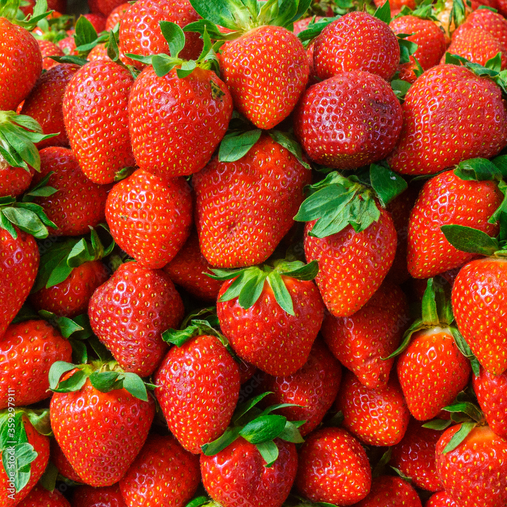 Heap of ripe organic red strawberries at farmers market. Bright vibrant vivid colors. Vitamins superfoods healthy diet. Harvest concept.