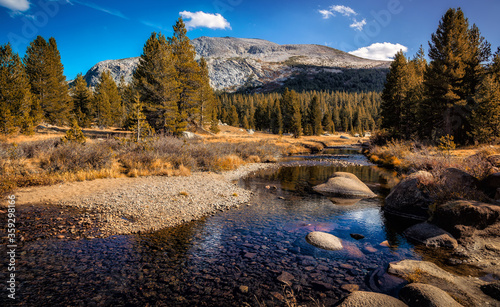 Mount Dana, Yosemite National Park, California