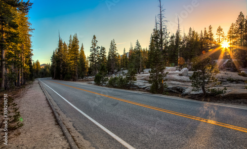 Road Through the Forest Sunset, Yosemite National Park, California