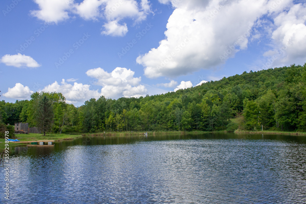 Obraz premium summer landscape with lake