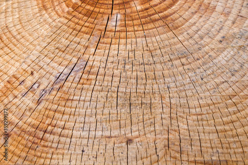 Wooden background, Cut tree pattern. Texture of cut and dry tree. Tree age rings. Cracks on the wooden background.