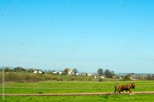 man plows the land with a horse in early spring
