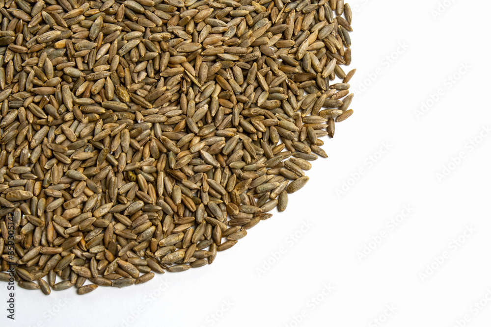 Grains of wheat, barley, rye, oats on white background close-up, natural dry grain in form of even semicircle how sun on left top side, wheat seeds macro shot, isolated, top view. Free space for text Grains of wheat, barley, rye, oats on white background close-up, natural dry grain in form of even semicircle how sun on left top side, wheat seeds macro shot, isolated, top view. Free space for text