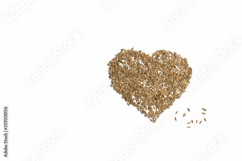 Grains of wheat, barley, rye, oat on white background close up, natural dry grain in shape of heart with scattered seeds on right isolated, top view. Free space for text. Concept photo love of nature