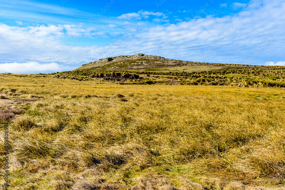 Nature of the Falkland Islands