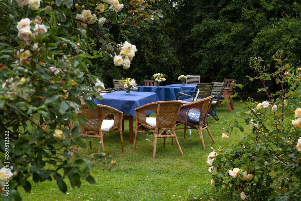 Tables with blue tablecloths and many chairs set up on the lawn between blooming rose bushes in the garden for a summer party Tables with blue tablecloths and many chairs set up on the lawn between blooming rose bushes in the garden for a summer party