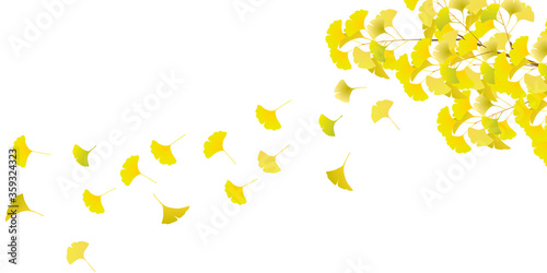 紅葉　イチョウ　秋　背景