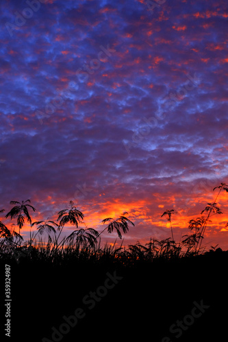 Beautiful twilight sky 