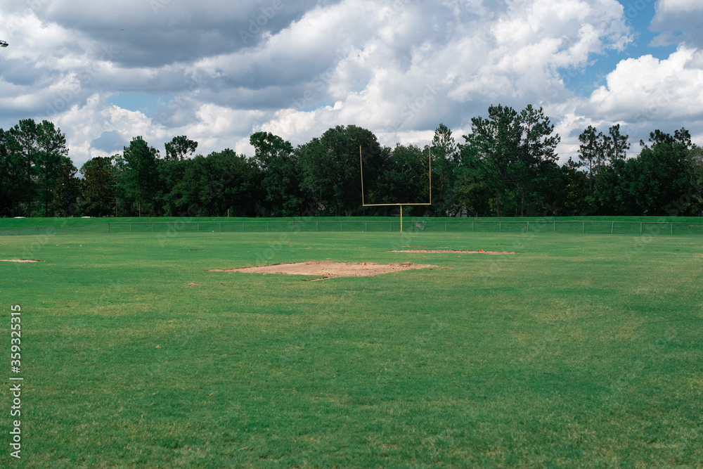 Obraz premium field in the morning