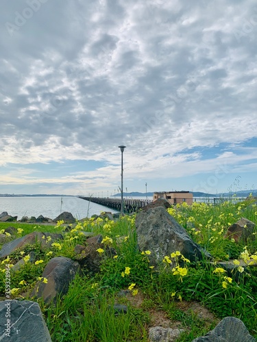 Pier in the bay