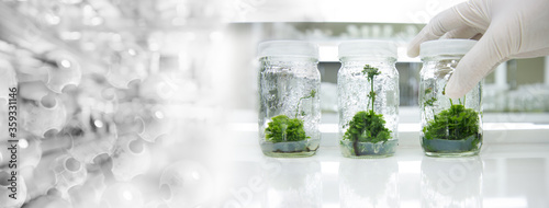 glove wearing hand of scientist three bottle of plant tissue culture in biotechnology science laboratory banner background