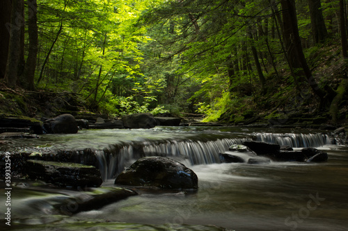waterfall in the woods