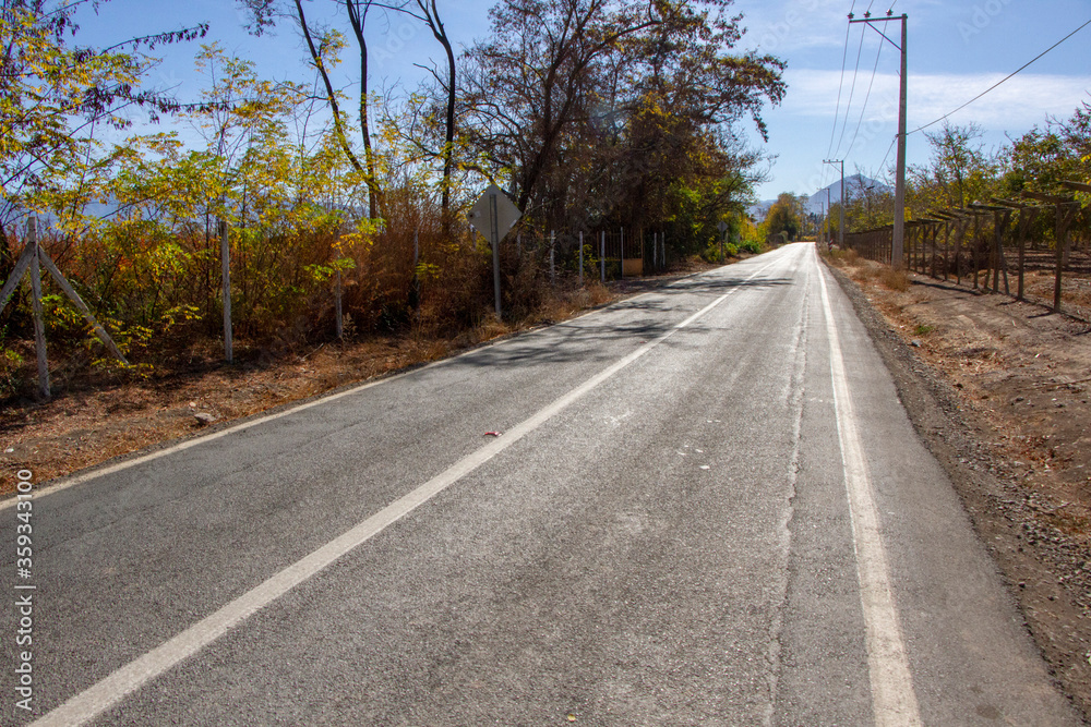 Campo chileno, en un día asoleado de invierno. Plantaciones de parras y nogales