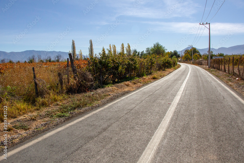 Fototapeta premium Campo chileno, en un día asoleado de invierno. Plantaciones de parras y nogales