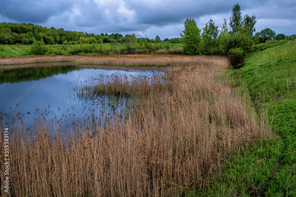 A small lake framed by last year's dry grass on a green background of grass and trees. A small lake framed by last year's dry grass on a green background of grass and trees.