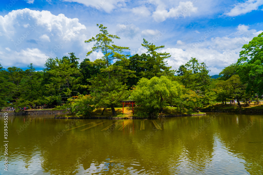 Landscape of Nara Park in Japan