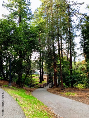path in the park