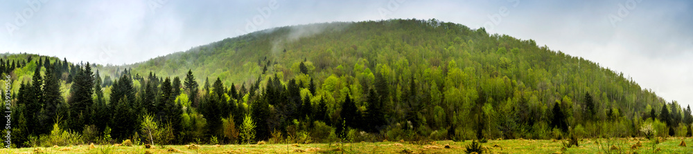 a Carpathian landscape a Carpathian landscape