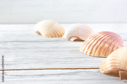 A closeup view of a row of scallop seashells on a rustic wooden surface, as a background image.