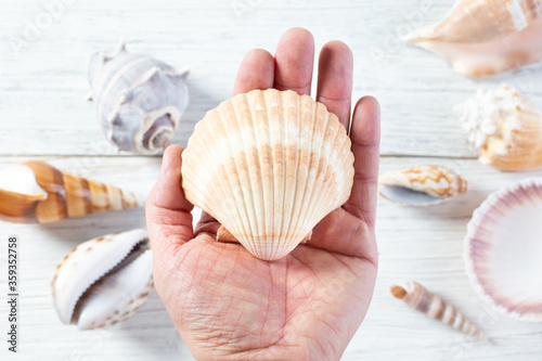 A top down view of a hand holding a scallop shell over several other varieties of shells on a rustic wooden table surface.