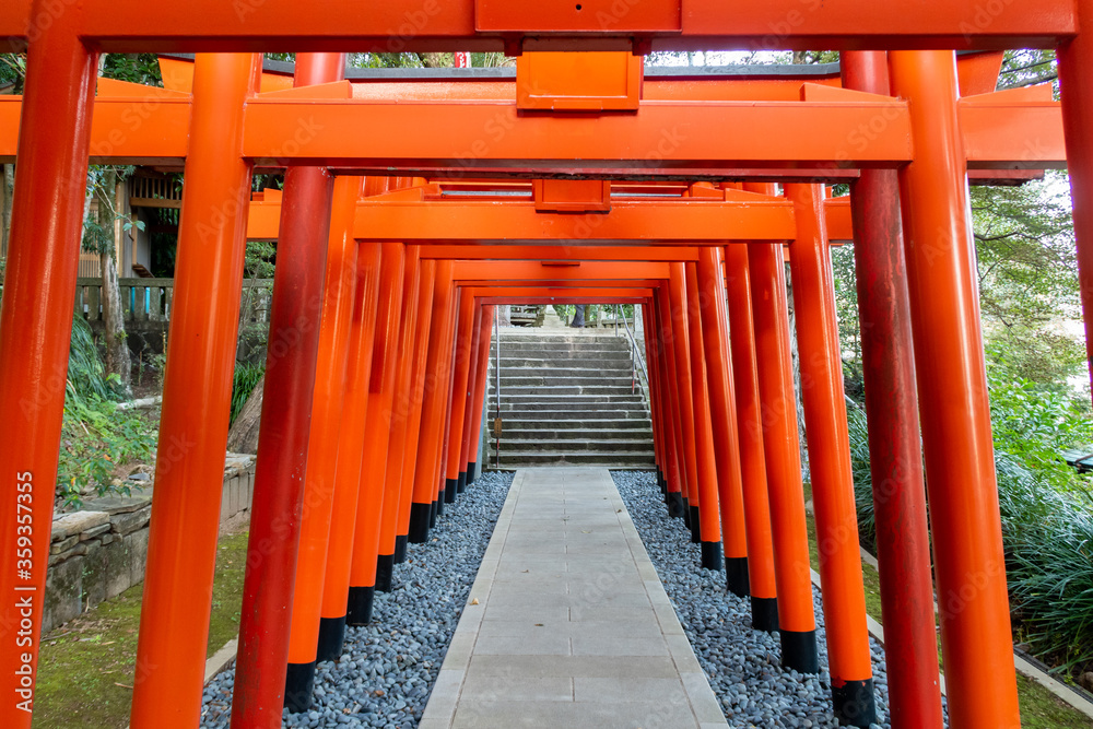 Row of wooden famous red Torii Gates in Suwa Shinto Shrine in Nagasaki, Japan.