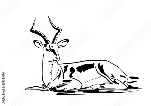 a silhouette of a goat