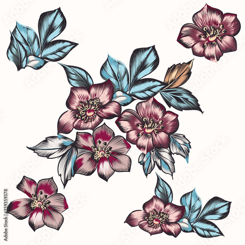 Set of vector hand drawn flowers for design