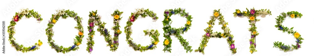 Flower, Branches And Blossom Letter Building English Word Congrats. White Isolated Background Flower, Branches And Blossom Letter Building English Word Congrats. White Isolated Background
