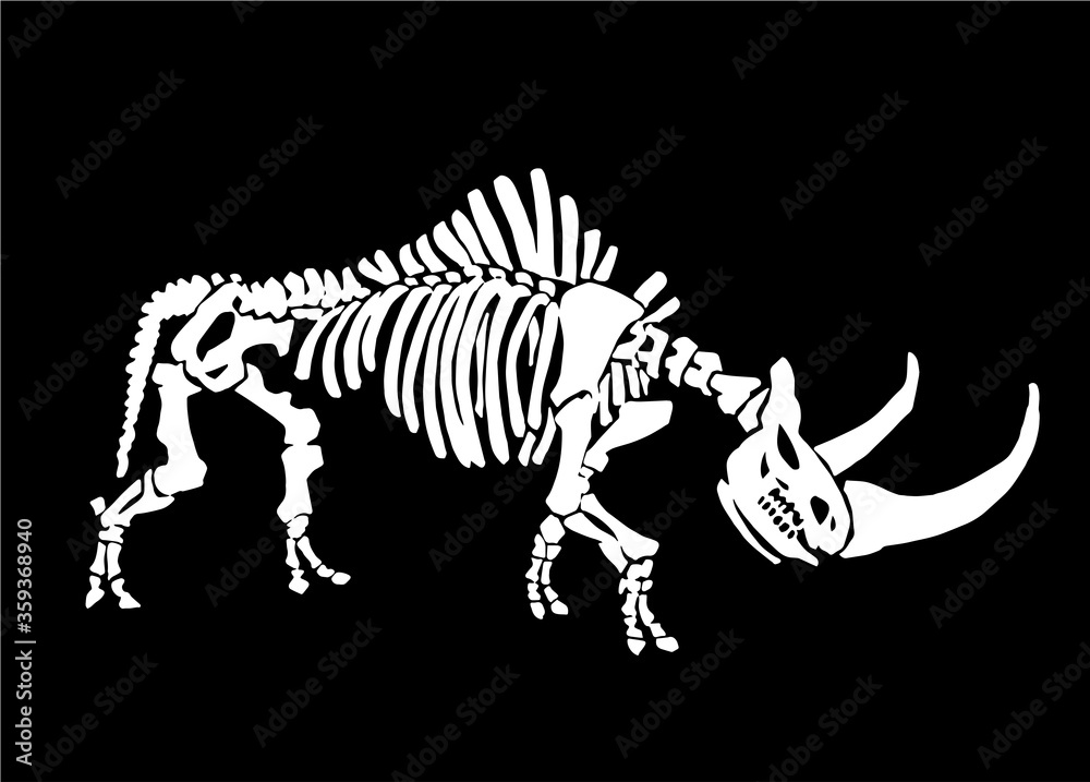 Vector illustration of woolly rhino skeleton isolated on black ...
