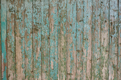  turquoise wooden background with shabby paint for text writing © dimm86