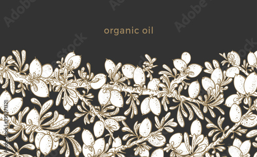 Argan plant. Vector illustration. Art bio pattern