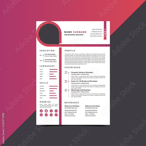 Professional Resume CV curriculum vitae Template