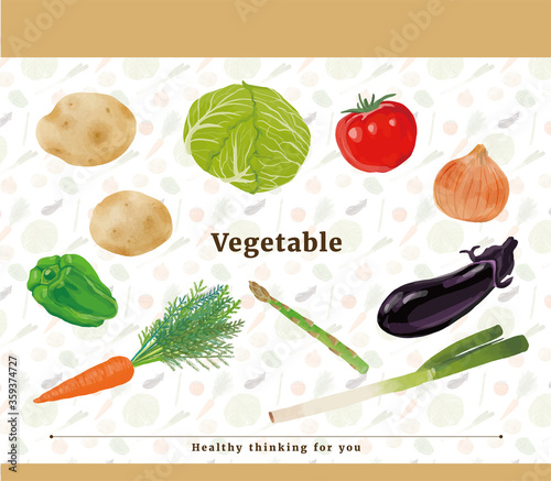 野菜　ベクター　イラストセット