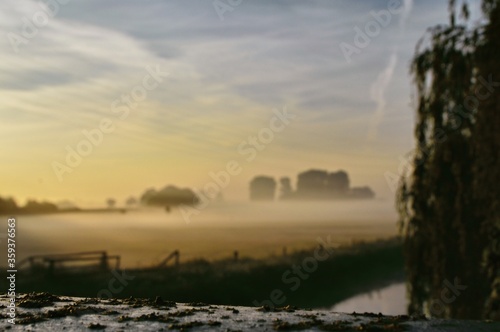 Foggy Morning 
