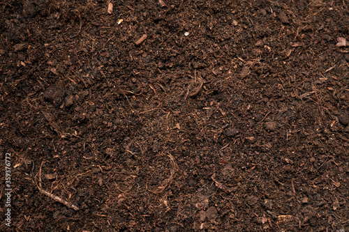 Texture of fertile soil as background