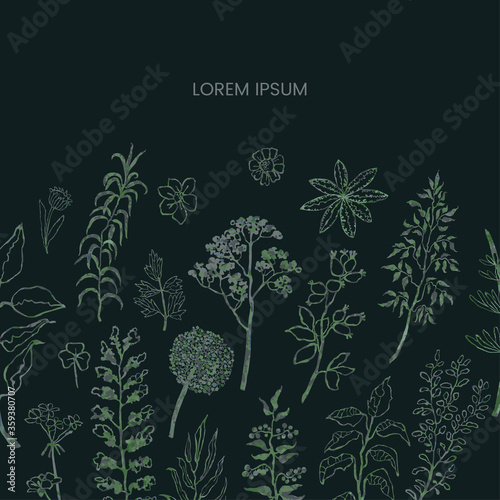 Vector floral template with plants and flowers. Hand draw frame. Use it as invitation, greeting card, poster, banner, Social Media design post, flyer, cover, placard, brochure and other graphic design