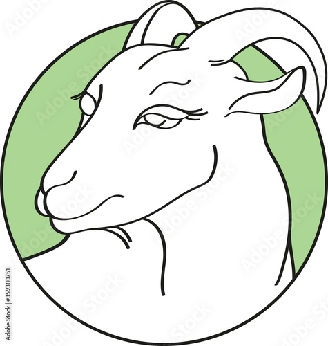 Handdrawn goat in round green frame isolated on a white background. Linear silhouette. Vector illustration. Emblem organic farmer cheese, milk or meat
