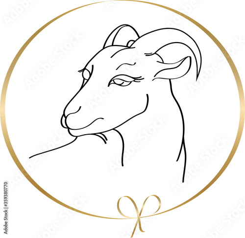 Handdrawn goat in round golden frame isolated on a white background. Linear silhouette. Vector illustration. Emblem organic farmer cheese, milk or meat