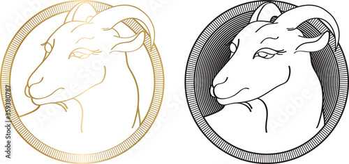 Handdrawn goat in hatched round frame isolated on a white background. Linear silhouette. Vector illustration. Emblem organic farmer cheese, milk or meat