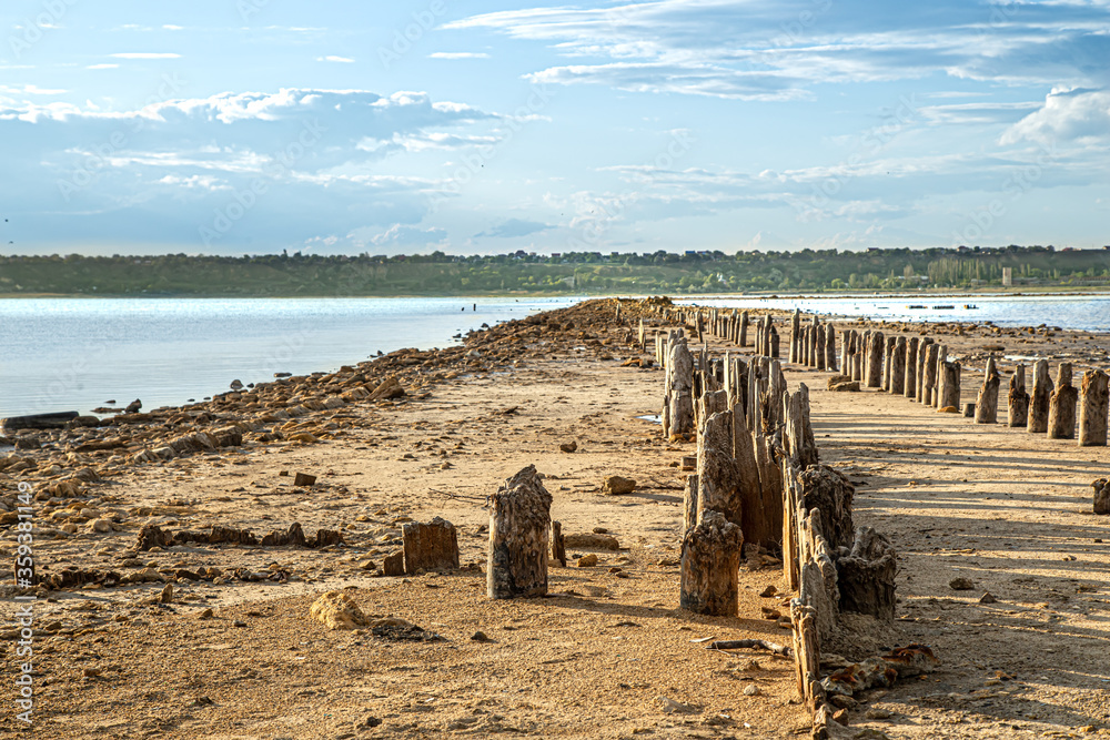 Wooden columns protrude from the kuyalnitsky estuary Wooden columns protrude from the kuyalnitsky estuary