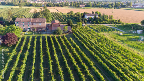 Modena countryside cultivated photo with drone photo