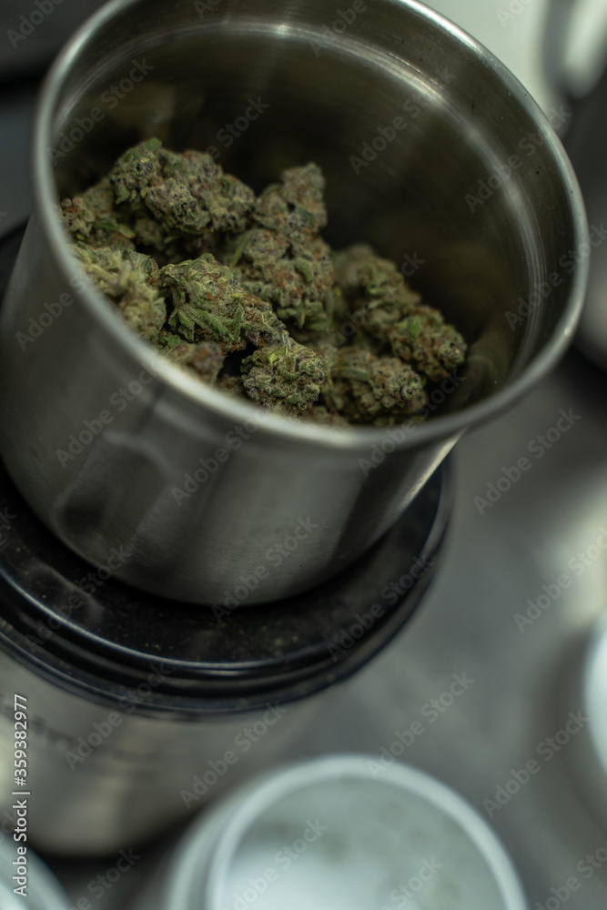 Marijuana Buds Sit in a Grinder in Preparation for Testing Marijuana Buds Sit in a Grinder in Preparation for Testing