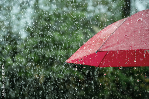 Canvastavla Rain, close up of umbrella in the rain with copy space