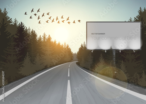 Vector coniferous forest with fir trees, long road and empty billboards for you advertisement and design