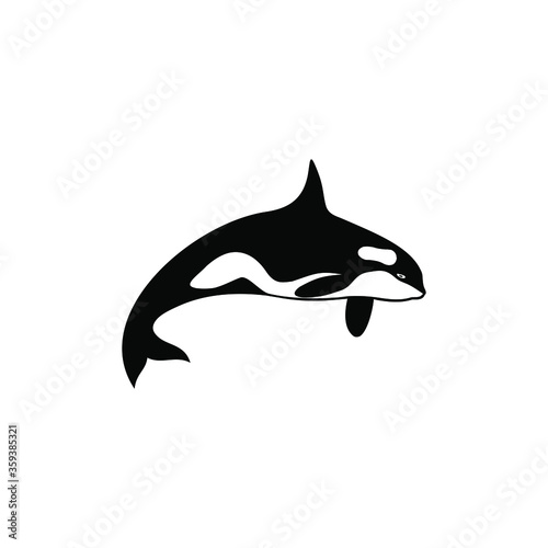 orca killer whale vector logo