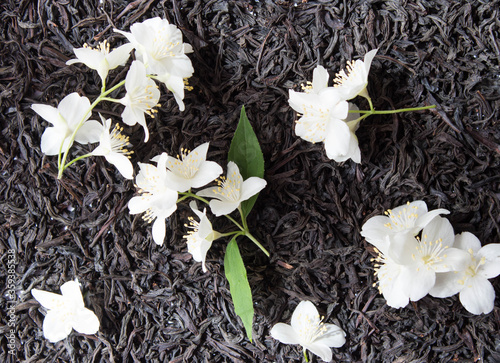 Jasmin flowers jn dry tea background. Top view. photo