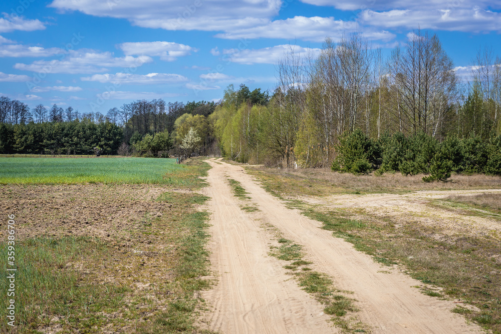 Unpaved road among fields and meadows in Wegrow County located in Mazowsze region of Poland